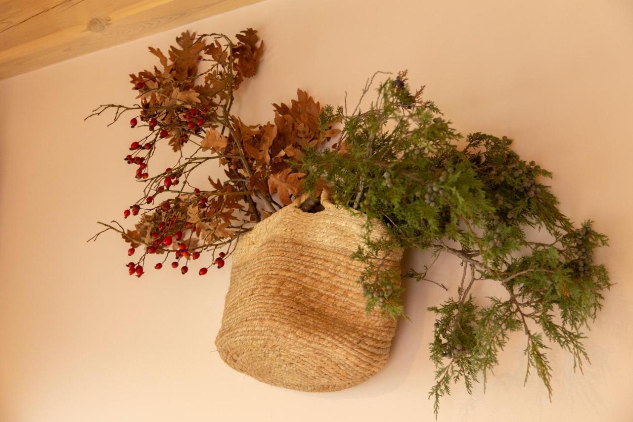 La Galiana Loft Nature Casarejos Kültér fotó